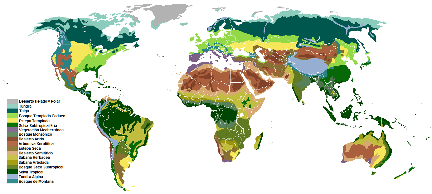 Mapa biomas