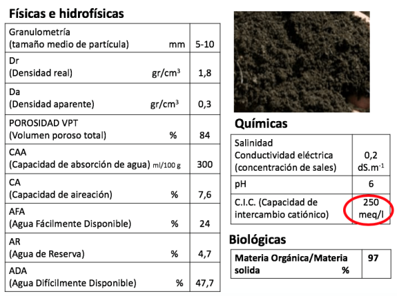fisicas turba negra