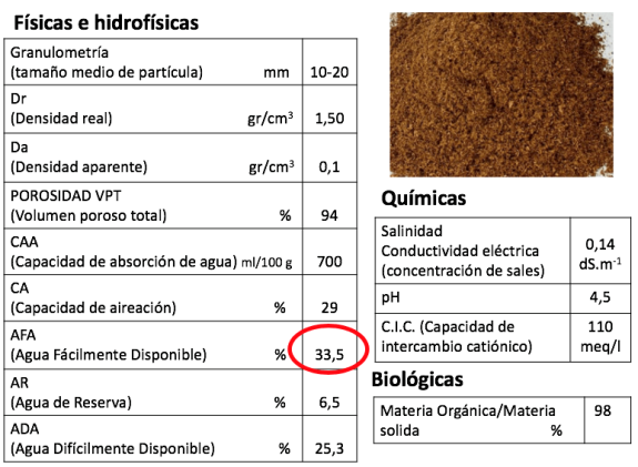 fisicas turba rubia